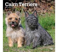 Cairn Terriers 2027 - 16-Monatskalender: Original BrownTrout-Kalender [Mehrsprachig] [Kalender]