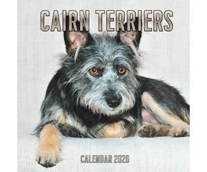 Cairn Terriers Calendar 2026: 14-Month Organizer from Nov 2025 to Dec 2026 | Perfect for Home, Office, School & Family Scheduling, For Men , Women , Girls , Boys