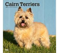 Cairn Terriers | Calendrier mural mensuel carré 2026 30,5 x 61 cm | Sans plastique | BrownTrout | Animaux races de chiens