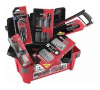 Caisse à outils FACOM + 22 outils - 5 Tournevis Protwist + 6 Clés mixtes OVG + 9 Clés mâles + Scie métaux + Pince - BP.P20ACM1PB