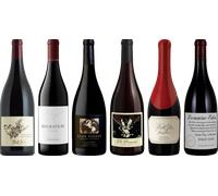 Caisse de dégustation Premium Pinot Noir de Californie 4.5l