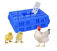 Caisse de Transport de Volaille, Cage de Transport de Poulet en Plastique, Jaulas Para Gallinas, Boîte de Transport de Caisses, Conception de Poignée, Raidisseurs à Quatre Coins(Blue)