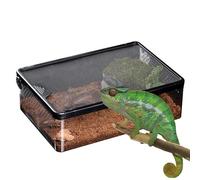 Caisse d'éclosion de reptile avec ventilation | Récipient pour animaux de compagnie respirant, anti-fuite : habitat sûr hermétique pour araignées, étanches, coléoptères, grillons | terrarium portable