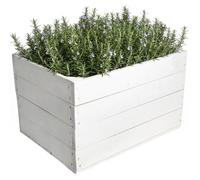 Caisse en bois - CREATIVE DECO - 40x30x23 cm - Sans fentes - Bois de pin naturel - Blanc poncé