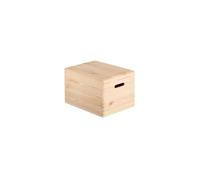 Caisse Rangement Pin Avec Couvercle 40x30x23cm Ref Cbt403023 Astigarraga