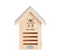 Caisse Refuge Pour Coccinelles Avec Dessin