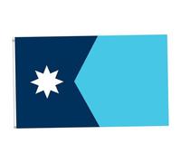 CAKEEYUM Drapeau de l'État du Minnesota 3x5 Pieds, Drapeau du Minnesota en Polyester, avec œillet en Laiton, pour Discours, défilé, fête, événement Sportif, Jardinage