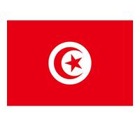 CAKEEYUM Drapeau Tunisien décoratif de Jardin, bannières nationales en Polyester pour événements Sportifs, 150x90cm, Jardinage