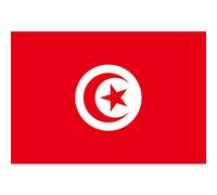 CAKEEYUM Drapeau Tunisien décoratif de Jardin Drapeau Tunisien bannières nationales en Polyester pour événements Sportifs 150x90cm Tunisie, Polyester, décoration de Jardin, bannière pour événements s