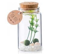 CAKEEYUM Kit de Terrarium Boule de Mousse Kit Terrarium cylindrique en Verre avec Boule Mousse pour Animaux Compagnie Chance Plante Artificielle en Cristal Blanc pour décoration Table