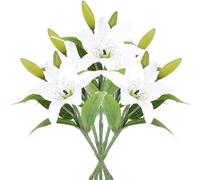 CAKEEYUM Lis artificiels 5pcs 14, 6 Fleurs de lys réalistes artificielles avec Une Tige Courte et Feuilles à Faible Entretien en Tissu caoutchouté Fleurs de lys pour décoration, artificiels Blancs d