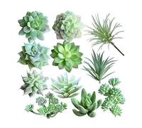 CAKEEYUM Lot de 11 Plantes succulentes artificielles, Plantes floquées artificielles, succulentes en Plastique Non mises en Pot, de Flocage juteuses pour la Maison, décoratio