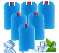 CAKEEYUM Packs de Glace pour Les Packs de congélation 6PC 6 pcs 3, 5x2x5, 7 Pouces Longue durée