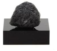 CALAMITE - Pierre Naturelle en Provenance des USA, Arizona - Rare Fossile Végétal, Collection Minéralogie 31.7 ct - Certificat d'Authenticité Inclus 21 x 17 x 13 mm G