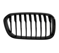 Grille de radiateur BLIC 6502-07-0086998P