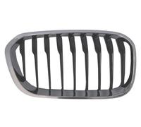 Grille de radiateur BLIC 6502-07-0086998CP
