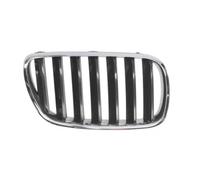 BLIC 6502-07-00939920P Grille de calandre
