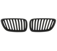 BLIC 6502-07-0069994P Grille de calandre