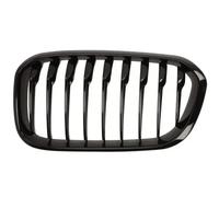 BLIC 6502-07-0086997P Grille de radiateur pour BMW