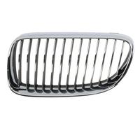 BLIC 6502-07-00629915PP Grille de calandre