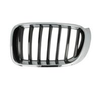 BLIC 6502-07-00939933P Grille de radiateur pour BMW
