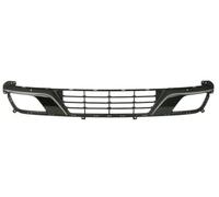 Grille de radiateur BLIC 6502-07-1618910P