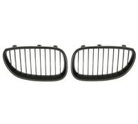 BLIC 6502-07-0066991KP Grille de calandre