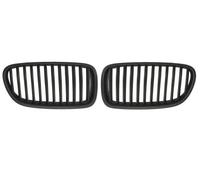BLIC 6502-07-0067991KP Grille de calandre
