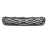 BLIC 6502-07-3284991P Grille de calandre
