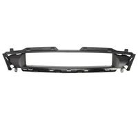 BLIC 5601-00-2563990P Grille de calandre