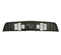 Grille de radiateur BLIC 6502-07-2585992P