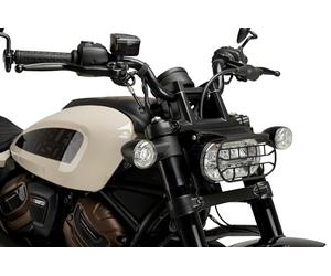 Calandre - Protecteur De Phare