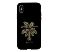 Calathea Ornata Illustration de Plante Goeppertia ornata Coque pour iPhone X/XS