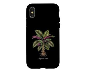 Calathea Ornata Illustration de Plante Goeppertia ornata Coque pour iPhone X/XS