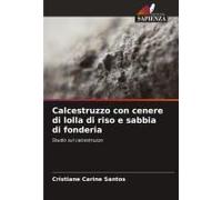 Calcestruzzo Con Cenere Di Lolla Di Riso E Sabbia Di Fonderia