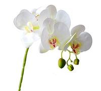 Calcifer Lot de 6 bouquets d'orchidée phalaenopsis en latex 3D au toucher réaliste pour mariage, fête, décoration de jardin (cœur blanc et jaune)