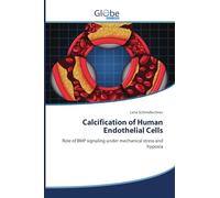 Calcification of Human Endothelial Cells: Role of BMP signaling under mechanical stress and hypoxia