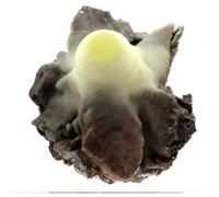 CALCITE - Pierre Naturelle en Provenance de France, Las Cabesses, Ariège, Occitanie - Cristal de Calcite lead rich rare et authentique - 3495.0 ct - Certificat d'Authenticité Inclus 120 x 109 x 68 mm 