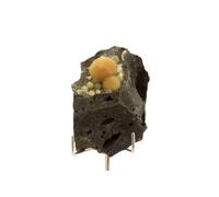 CALCITE - Pierre Naturelle en Provenance d'Italie, Montalto di Castro - Cristal de Calcite, Propriétés de Guérison et de Purification 262.40 ct -