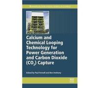 Calcium and Chemical Looping Technology for Power Generation and Carbon Dioxide (Co2) Capture | Paul Fennell Paul Fennell (Auteur)