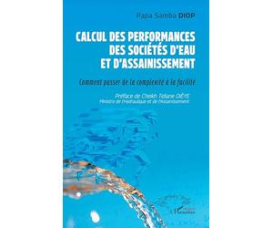 Calcul des performances des sociétés d'eau et d'assainissement: Comment passer de la complexité à la facilité
