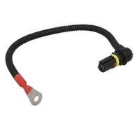 Calculateur, temps de préchauffage AKUSAN K06W155AKN pour 3 (E46) 2 1998-2001