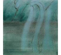 Cale Schafer Theodor - Patience [Import]
