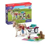 Horse Club Calèche Pour Le Spectacle Équestre