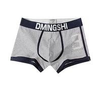 Caleçon en coton pour homme, boxer imprimé 3D, respirant, rétro, culotte légère avec logo au niveau de la taille, sous-vêtements pour homme, slip de sport évacuant l'humidité pour garçon, gris, L
