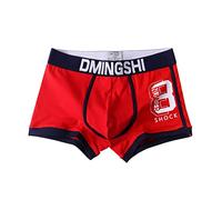 Caleçon en coton pour homme, boxer imprimé 3D, respirant, rétro, culotte légère avec logo au niveau de la taille, sous-vêtements pour homme, slip de sport évacuant l'humidité pour garçon, rouge, XXL