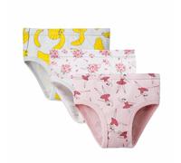 Calecon Garcon 14 Ans - sous-Vêtements pour Enfants Et Filles Slips Imprimés Mignons Shorts Pantalons sous-Vêtements 3 Pièces (1) (18-24 Months)