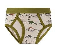 Calecon Garcon - sous-Vêtements pour Garçons Slips De Dessin Animé Petit Garçon (Khaki 4-5Years)