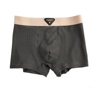 Caleçon pour homme mélangé avec sensation de soie glacée et réponse à séchage rapide en nylon élasthanne pour un mouvement naturel (XXL gris)