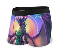 Caleçons Dragon Cool (2) Short en Coton Nouveauté Fitted Boxers Shorty Classique sous-Vêtement pour Anniversaire, Cadeau, Valentin XL